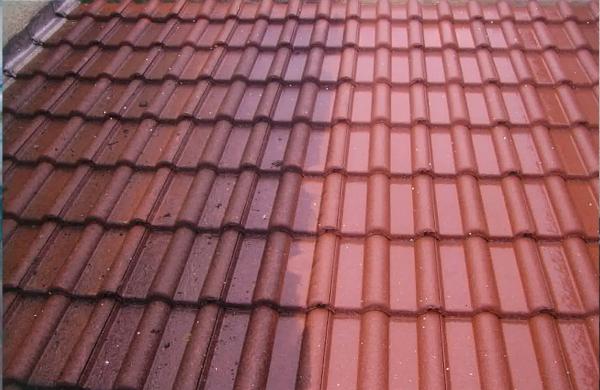 découvrez tout sur la toiture nord : types de couvertures, avantages, conseils d'entretien et meilleures pratiques pour optimiser la performance de votre toiture dans les régions nordiques.