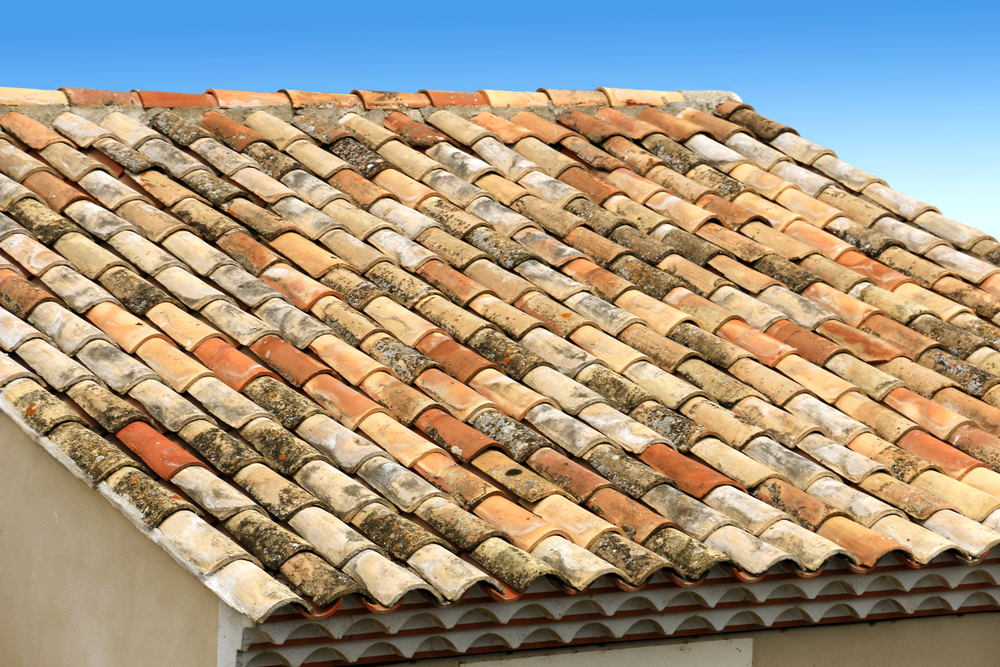 découvrez tout sur la toiture en tuile : avantages, types, entretien et conseils pour choisir la meilleure option pour votre maison. protégez votre habitat avec style et durabilité grâce aux tuiles.