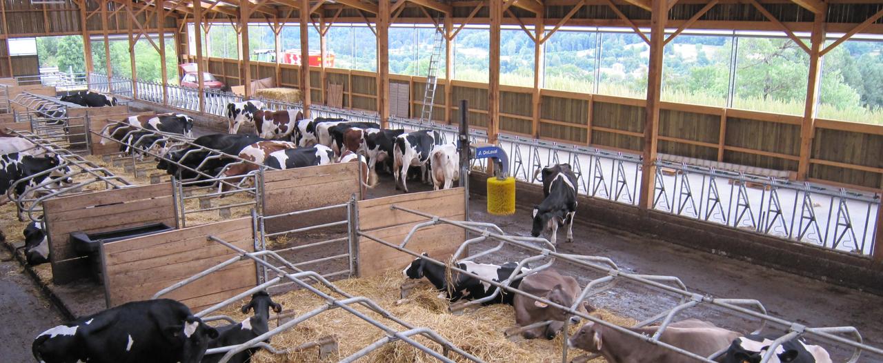 découvrez comment transformer votre bâtiment agricole en un espace moderne et fonctionnel. explorez les techniques innovantes et les conseils d'experts pour optimiser vos structures, tout en préservant leur authenticité et leur utilité. transformez vos projets agricoles en réussites durables.