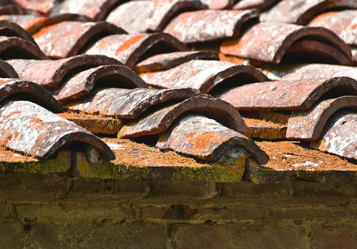 découvrez tout sur les tuiles d'infiltration, leur rôle et leur importance dans la gestion de l'eau sur votre toiture. apprenez comment elles protègent votre maison des infiltrations d'eau et contribuent à la durabilité de votre structure.