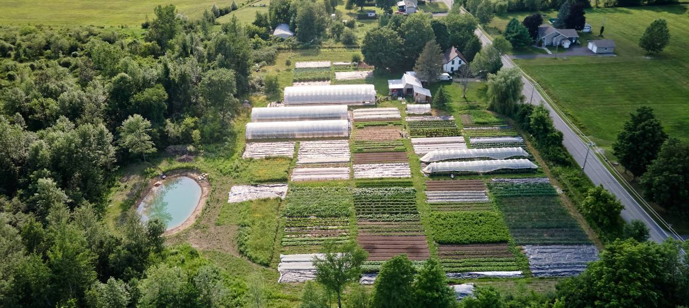 découvrez l'univers des maisons agricoles, un mélange parfait entre tradition et modernité. explorez nos conseils, designs et astuces pour créer des espaces de vie confortables et fonctionnels en milieu rural, tout en valorisant votre exploitation.