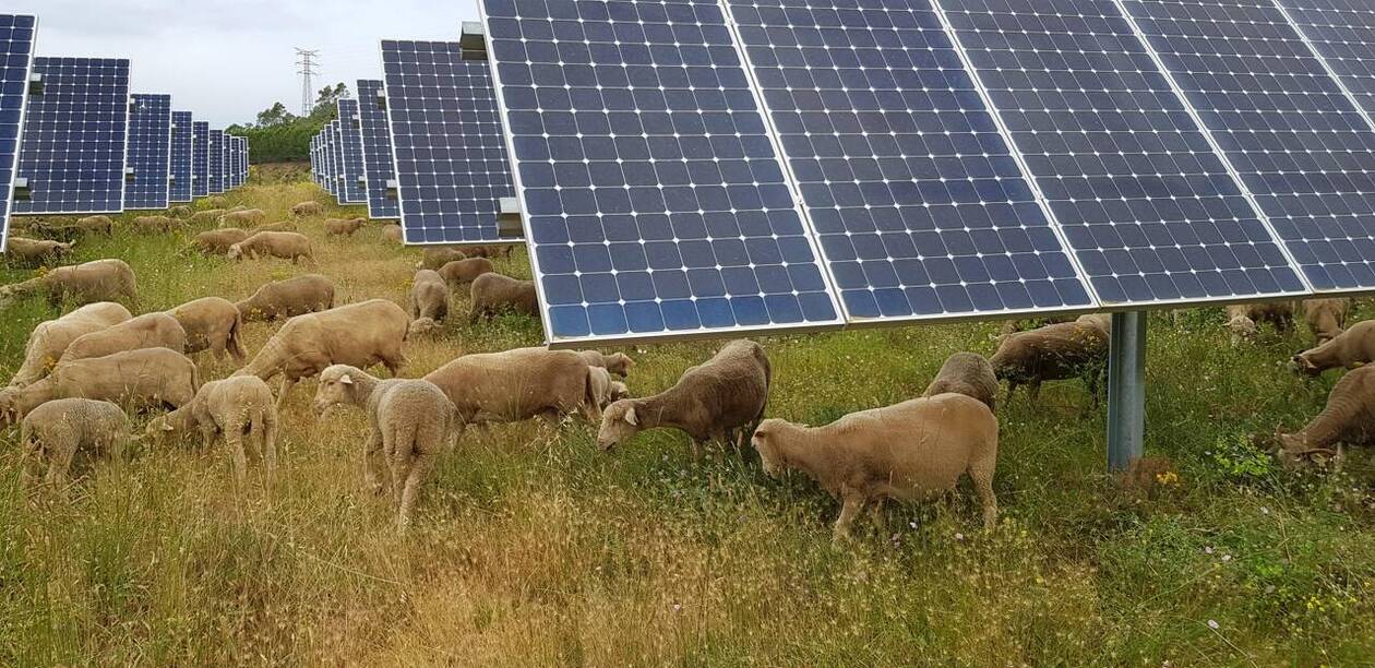 découvrez comment l'urbanisme intègre les panneaux photovoltaïques pour un développement durable et une énergie propre. explorez les enjeux et les solutions innovantes qui favorisent l'utilisation de l'énergie solaire dans les villes.
