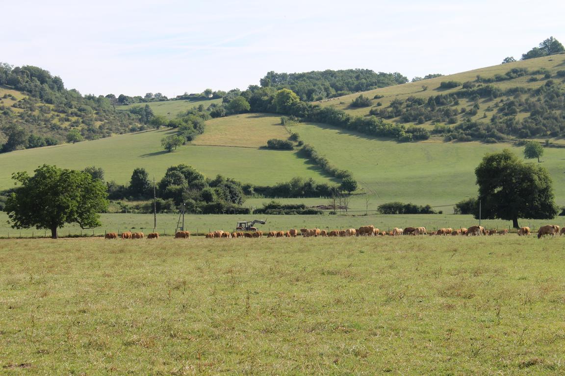 découvrez comment valoriser votre terrain agricole grâce à des techniques innovantes et des stratégies durables. optimisez votre espace, augmentez sa rentabilité et contribuez à une agriculture responsable.