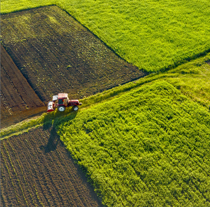 découvrez comment valoriser votre terrain agricole grâce à des techniques innovantes et des pratiques durables. optimisez vos ressources, augmentez votre rendement et contribuez à une agriculture responsable tout en préservant l'environnement.