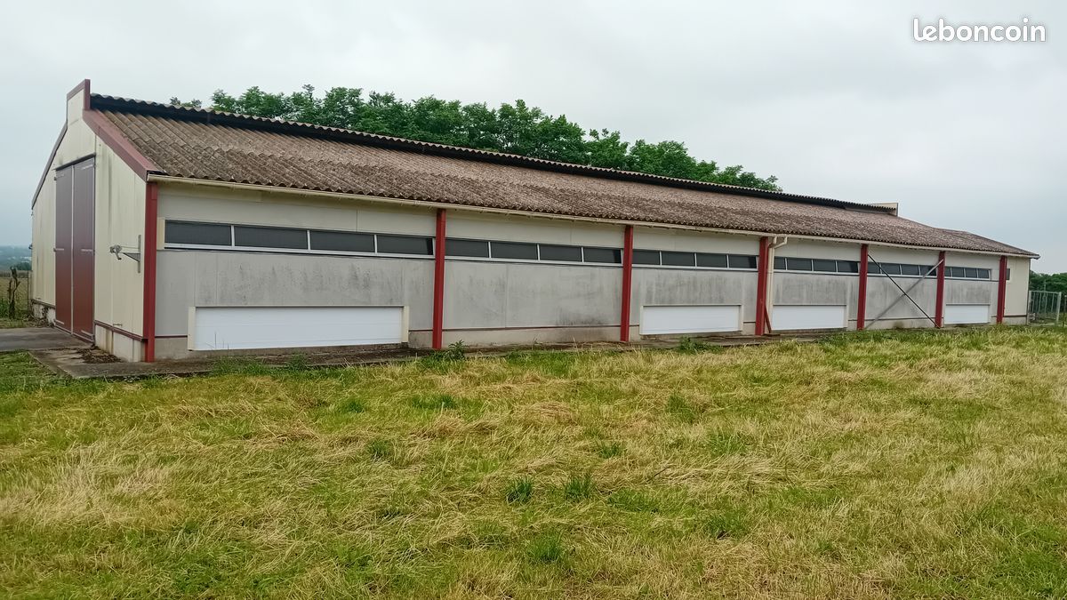 découvrez notre sélection de bâtiments agricoles à vendre, conçus pour répondre à vos besoins professionnels. profitez d'infrastructures modernes et adaptées pour l'élevage, la culture ou le stockage. investissez dans l'avenir de votre exploitation agricole !