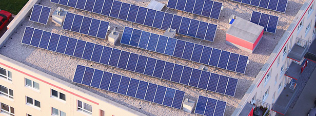 découvrez les dernières actualités sur la photovoltaïque ! suivez les innovations, les tendances et les initiatives en matière d'énergie solaire pour un avenir plus durable.