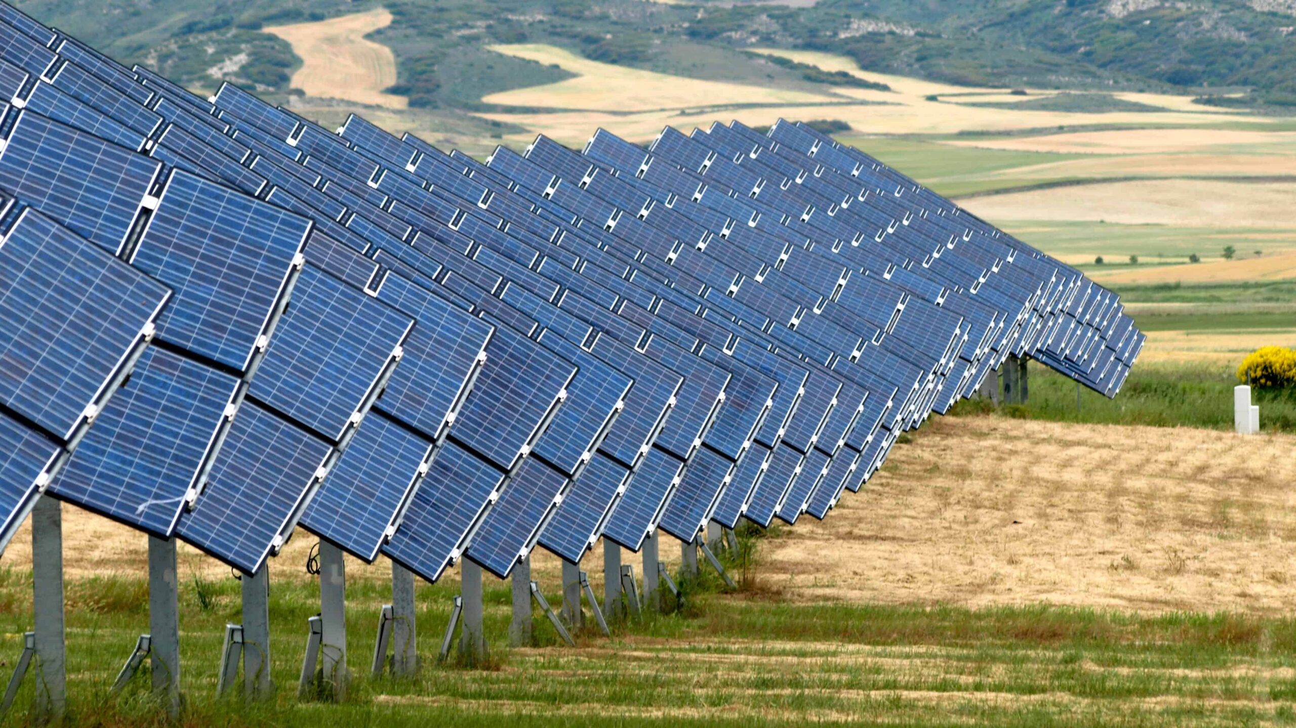découvrez l'agri photovoltaïque, une solution innovante alliant agriculture et énergie solaire. apprenez comment cette pratique durable permet d'optimiser les surfaces agricoles tout en générant de l'électricité renouvelable, contribuant à la transition énergétique et à la préservation de l'environnement.