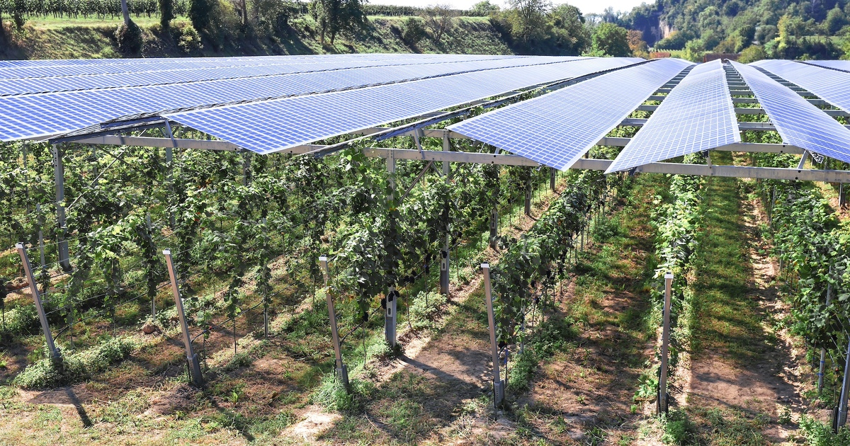 découvrez l'agri-photovoltaïque, une solution innovante qui combine agriculture et production d'énergie solaire. optimisez vos terres tout en contribuant à la transition énergétique et en préservant l'environnement.