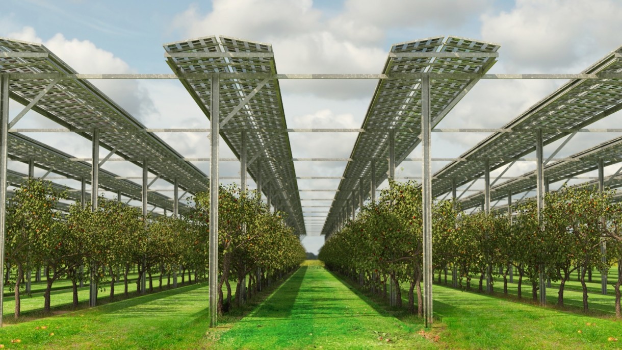 découvrez agri-pv, la solution innovante pour intégrer l'énergie solaire dans l'agriculture. optimisez vos exploitations tout en contribuant à la durabilité environnementale grâce à notre expertise en photovoltaïque.
