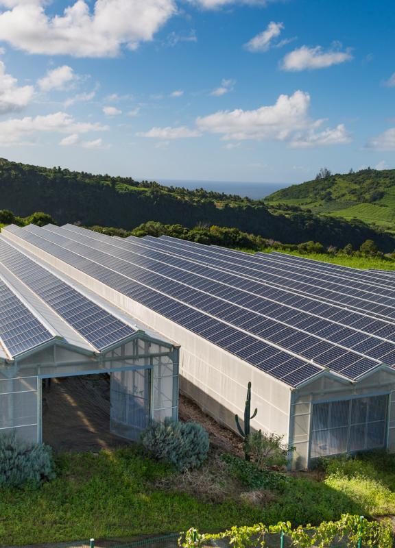 découvrez le concept innovant de l'agri-solaire, alliant agriculture et production d'énergie solaire pour une exploitation durable et respectueuse de l'environnement. améliorez vos rendements tout en participant à la transition énergétique.