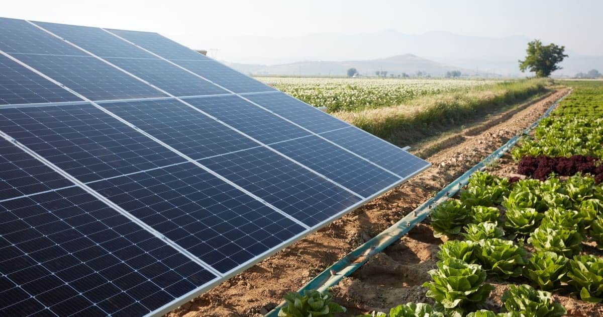 découvrez l'agri-solaire, une solution innovante alliant agriculture et énergie solaire. optimisez vos cultures tout en produisant de l'énergie renouvelable. explorez les avantages de cette approche durable pour un avenir plus vert.