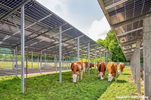 découvrez l'agri-solaire, une solution innovante alliant agriculture et énergie solaire. maximisez votre production agricole tout en générant de l'électricité verte et durable. informez-vous sur les avantages, les techniques et les projets inspirants qui façonnent l'avenir de l'agriculture et de l'énergie.