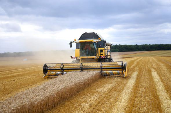 découvrez l'univers fascinant de l'agriculture, un secteur essentiel à notre alimentation et à notre environnement. explorez les techniques modernes, les défis écologiques et les innovations au service d'une production durable. engagez-vous pour un futur agricole responsable et apprenez comment soutenir une agriculture respectueuse de la planète.