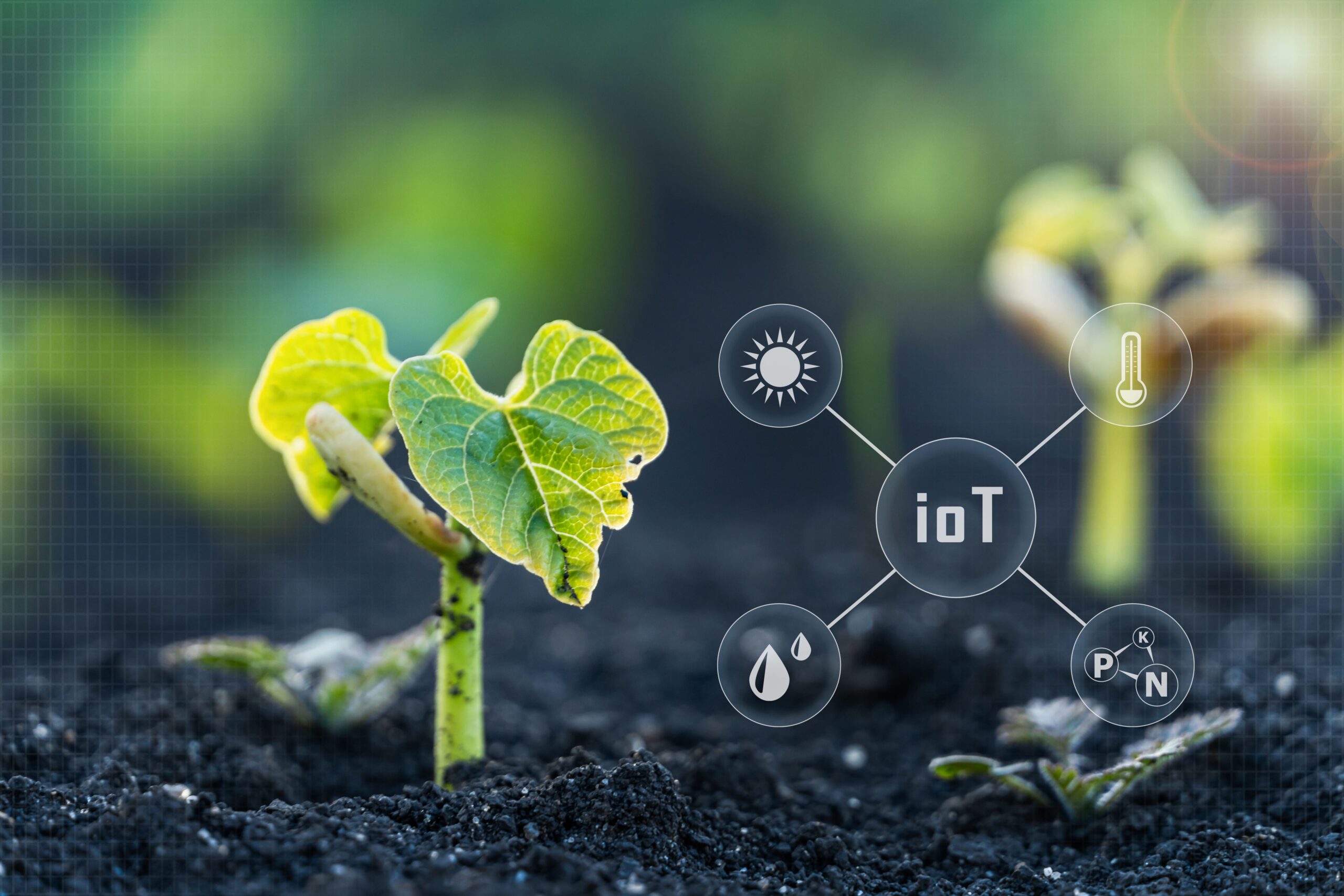 découvrez l'univers de l'agriculture : techniques, innovations et tendances durables pour nourrir la planète. explorez les pratiques agroécologiques, les cultures bio et les enjeux environnementaux liés à ce secteur essentiel.