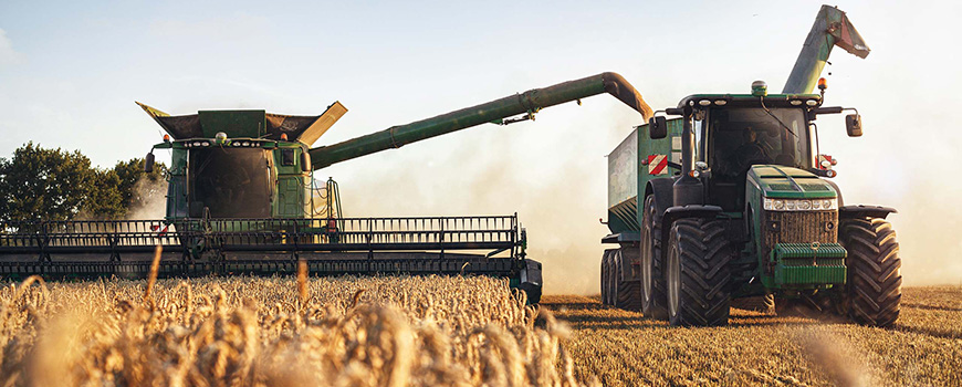 découvrez les enjeux et les innovations du secteur agricole. explorez les pratiques durables, les technologies modernes et les solutions pour faire face aux défis environnementaux tout en garantissant une production alimentaire de qualité.
