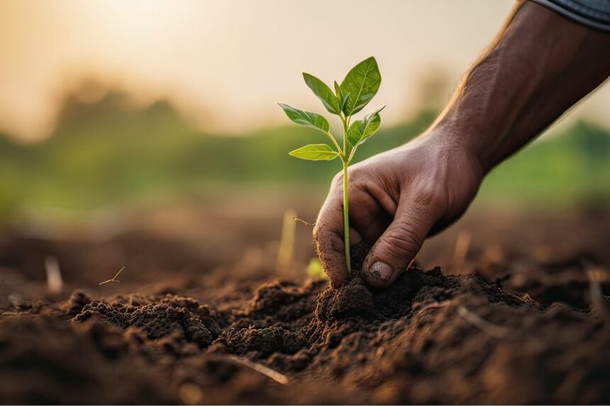 découvrez le monde fascinant de l'agriculture, ses pratiques durables, ses innovations et son impact sur notre quotidien. apprenez comment les agriculteurs travaillent la terre et préservent l'environnement tout en nourrissant la population mondiale.