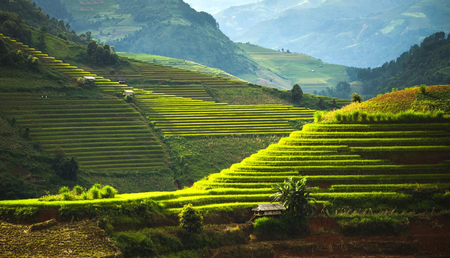 découvrez les pratiques et les enjeux de l'agriculture en montagne, où les traditions rencontrent l'innovation pour préserver les écosystèmes tout en produisant des aliments de qualité. explorez les défis uniques et les solutions durables de cette agriculture de montagne.