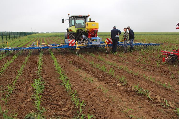 découvrez l'agriculture en normandie, une région riche en productions diversifiées, allant des céréales aux produits laitiers, en passant par l'élevage. explorez les pratiques agricoles durables et les initiatives innovantes qui façonnent l'avenir de l'agriculture normande.