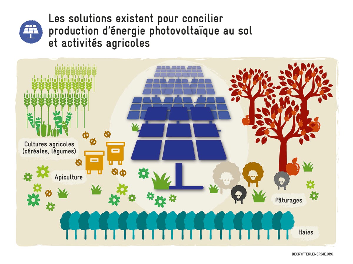 découvrez l'agriculture photovoltaïque, une méthode innovante alliant production agricole et énergie solaire. apprenez comment cette pratique durable optimise l'utilisation des terres, réduit les coûts énergétiques et contribue à la transition écologique.