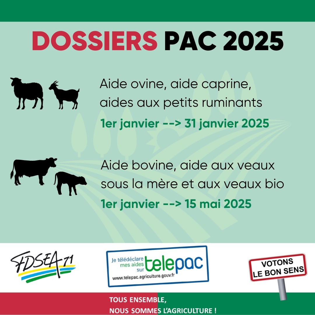 découvrez les opportunités d'aide disponibles en 2025 pour vous accompagner dans vos projets personnels et professionnels. profitez de conseils, de ressources et de soutien pour réaliser vos ambitions.