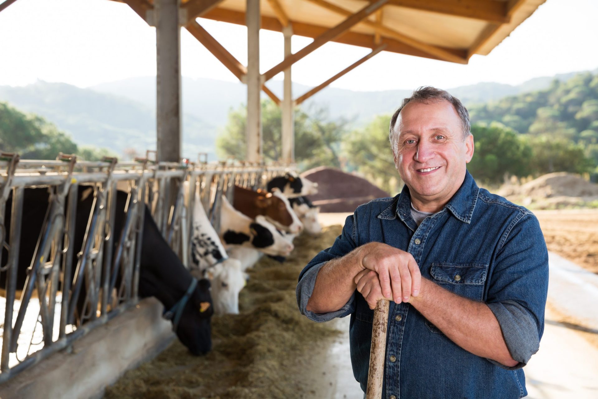 découvrez notre expertise en aide au bâtiment agricole, offrant des solutions adaptées à vos besoins pour optimiser la construction, la rénovation et l'aménagement de vos infrastructures agricoles.