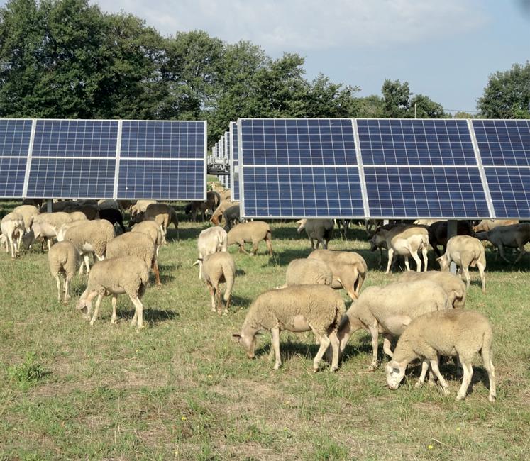 découvrez notre association dédiée à la promotion et au développement des énergies photovoltaïques. rejoignez-nous pour partager des idées, des projets innovants et des solutions durables pour un avenir énergétique responsable.