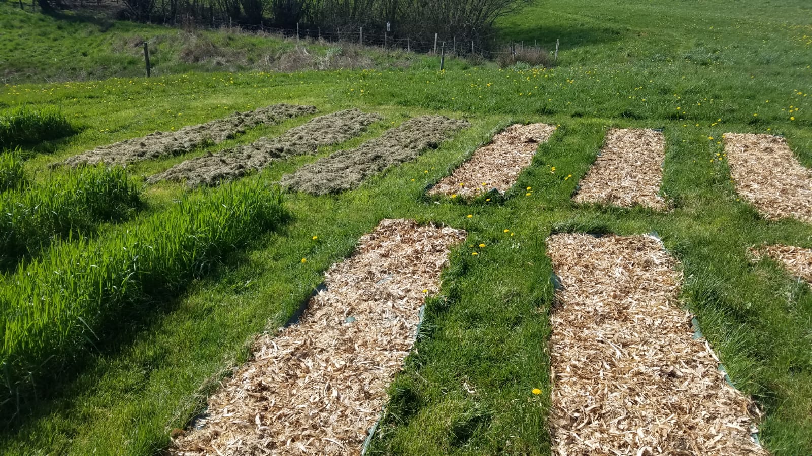 découvrez comment atteindre l'autosuffisance, une démarche visant à réduire votre dépendance aux ressources extérieures. explorez des conseils pratiques sur la culture de vos propres aliments, la gestion durable des ressources et l'économie circulaire pour vivre de manière plus autonome et respectueuse de l'environnement.