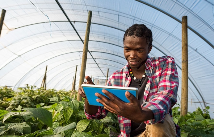 découvrez les principes de l'autosuffisance, une approche durable qui vise à réduire notre dépendance aux ressources extérieures en cultivant notre propre nourriture, en utilisant des énergies renouvelables et en adoptant un mode de vie éco-responsable. apprenez à vivre de manière autonome et à être moins impacté par les fluctuations économiques.