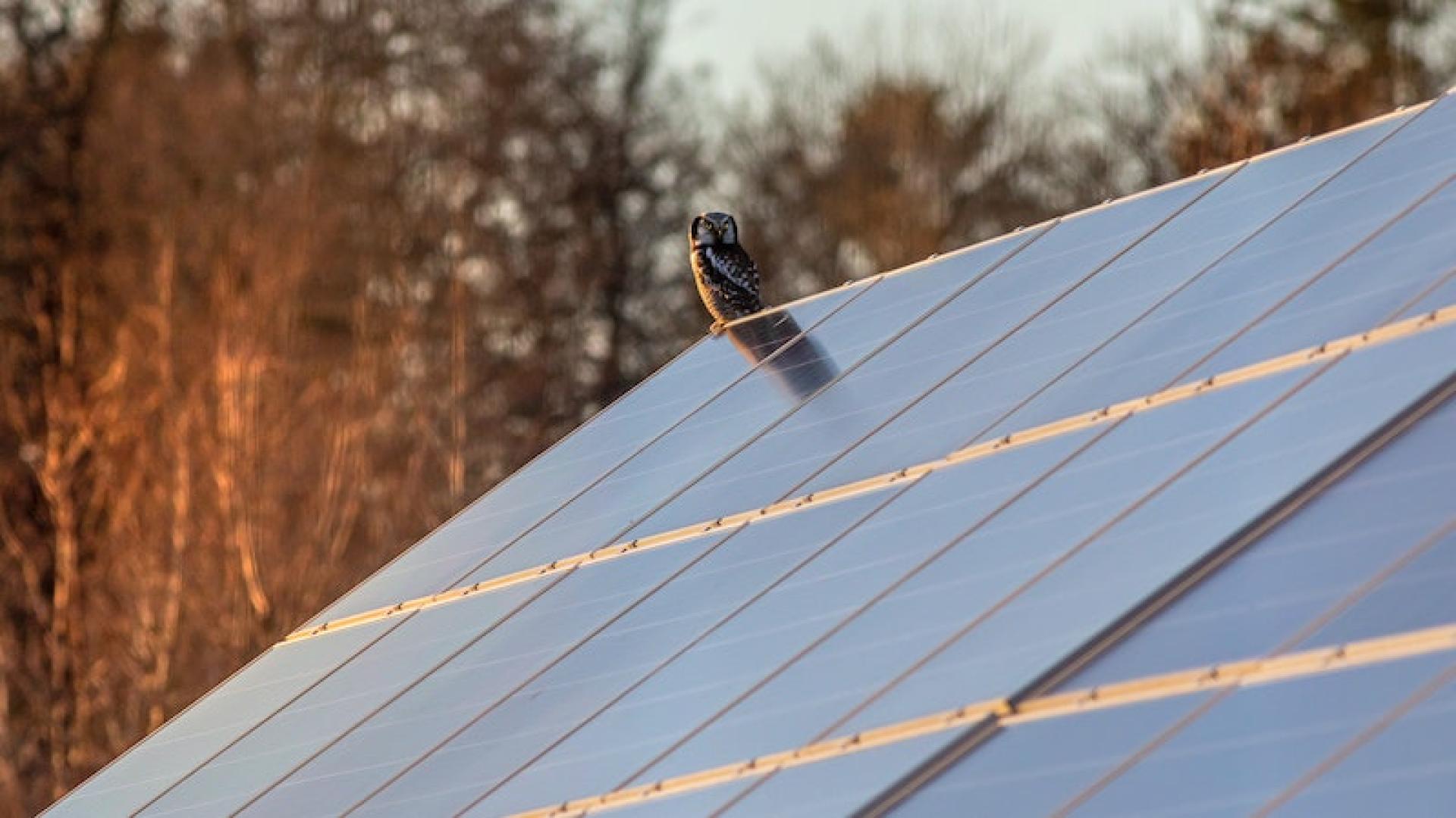 découvrez les avantages et inconvénients de l'énergie solaire dans notre analyse détaillée. apprenez comment cette source d'énergie renouvelable peut réduire votre facture d'électricité tout en contribuant à la préservation de l'environnement, tout en pesant les défis liés à son adoption et à son efficacité.
