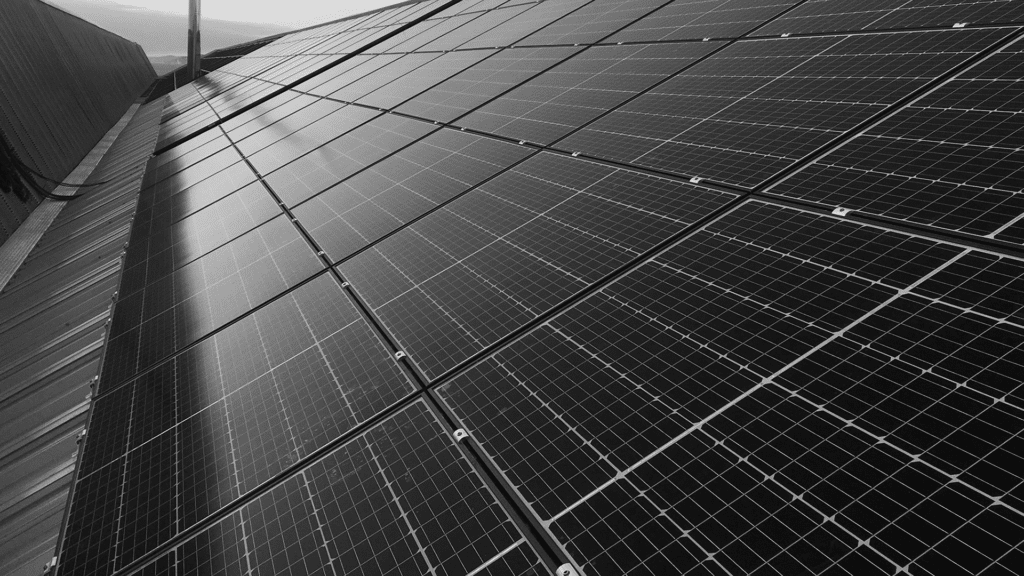 découvrez tout sur le bac photovoltaïque, une solution innovante pour optimiser la production d'énergie solaire. apprenez comment cette technologie peut transformer votre espace en une source d'énergie durable et réduire vos factures d'électricité.
