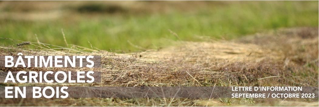 découvrez la polyvalence et l'esthétique des bâtiments agricoles en bois, alliant durabilité et respect de l'environnement. explorez nos solutions sur mesure pour optimiser l'espace et le fonctionnement de votre exploitation agricole.