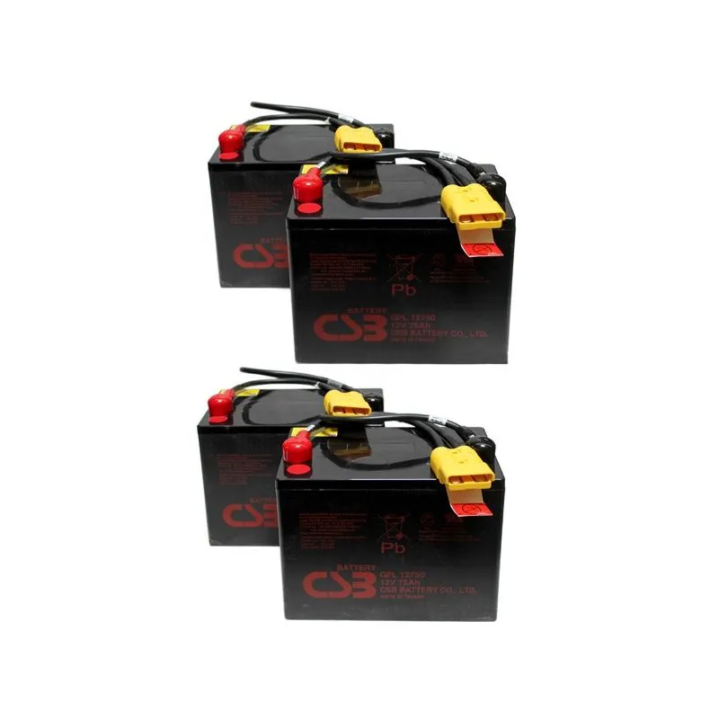 découvrez notre large gamme de batteries pour onduleurs, idéales pour assurer une source d'énergie de secours fiable et maintenir vos appareils électroniques en fonctionnement en cas de coupure de courant. profitez de performances optimales et d'une durée de vie prolongée avec nos produits de qualité.