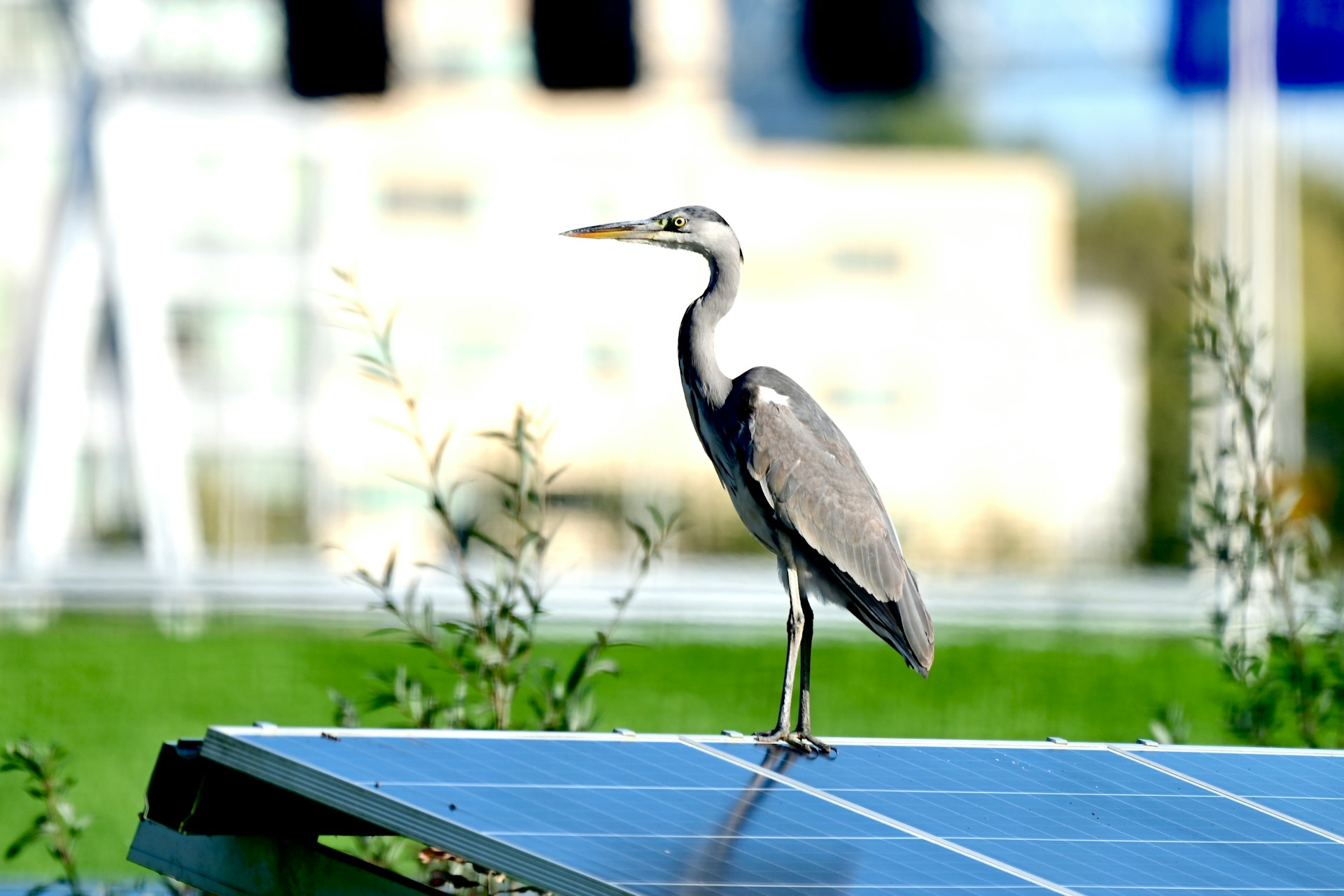 découvrez comment calculer la puissance des panneaux solaires pour maximiser votre production d'énergie renouvelable. suivez nos conseils pratiques et bénéficiez d'une installation photovoltaïque optimale pour votre maison ou votre entreprise.