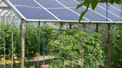 découvrez comment le chauffage solaire pour serre peut optimiser la croissance de vos plantes tout en réduisant votre empreinte écologique. profitez d'une méthode durable et économique pour maintenir la température idéale dans votre serre, été comme hiver.