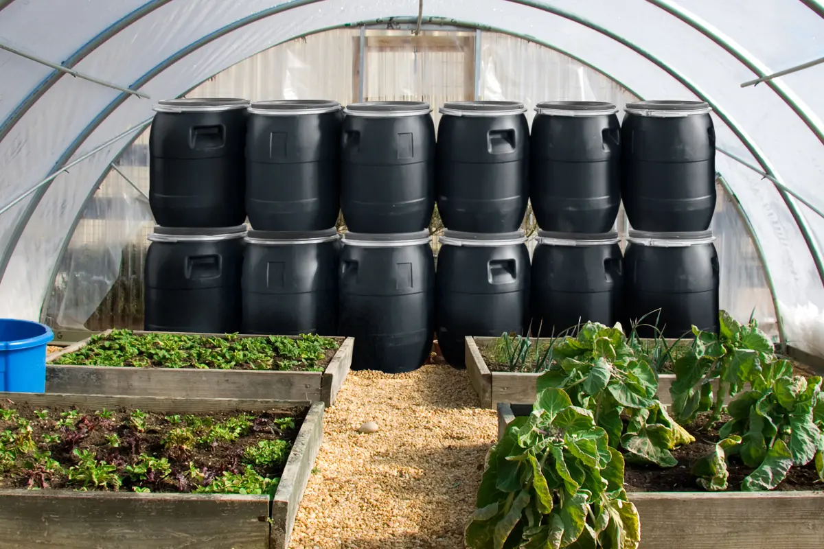 découvrez comment le chauffage solaire pour serre peut optimiser la croissance de vos plantes tout en réduisant vos coûts énergétiques. profitez d'une solution écologique et efficace pour maintenir une température idéale dans votre serre.
