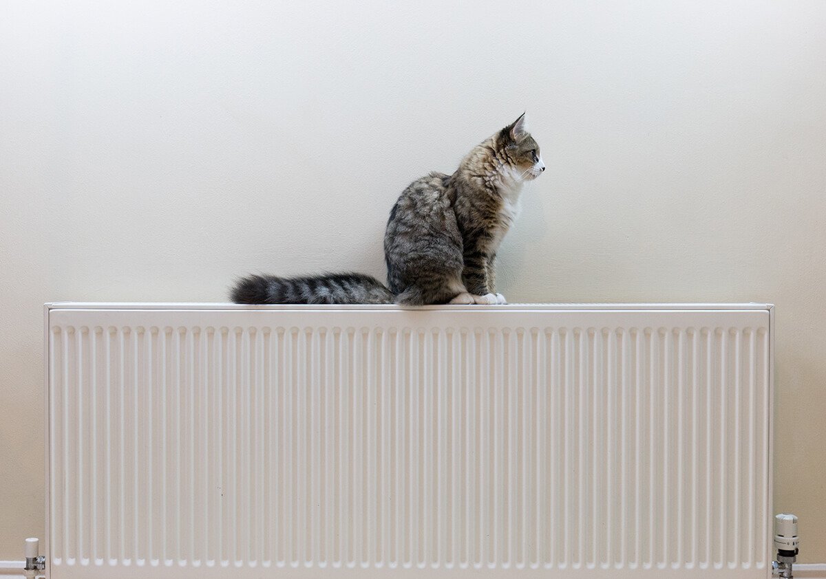 découvrez nos solutions de chauffage adaptées à tous vos besoins. profitez d'un confort optimal tout en réduisant votre consommation d'énergie. que ce soit pour votre maison ou votre bureau, nous avons le système de chauffage qui vous convient.