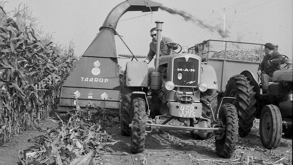 découvrez notre expertise en tant que constructeur agricole, offrant des solutions innovantes et durables pour répondre aux besoins spécifiques de votre exploitation. de la planification à la réalisation, nous vous accompagnons dans chaque étape de votre projet.