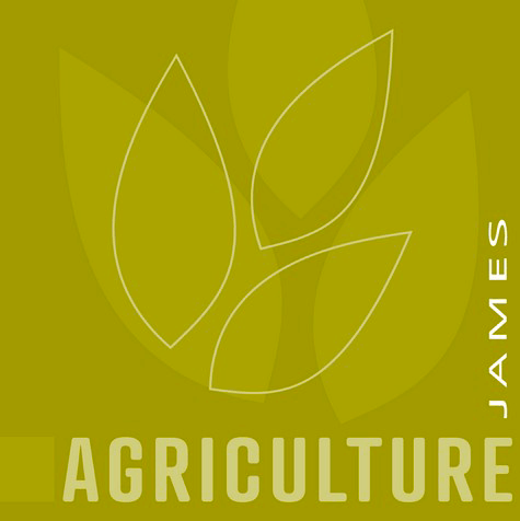 découvrez notre expertise en tant que constructeur de bâtiments agricoles en normandie. nous vous accompagnons dans la réalisation de projets sur mesure adaptés à vos besoins, en garantissant qualité et durabilité. contactez-nous pour un devis personnalisé!