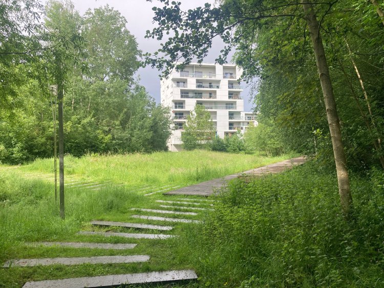 découvrez notre expertise en tant que constructeur rt2025. nous vous accompagnons dans la réalisation de bâtiments conformes aux nouvelles normes environnementales et énergétiques pour un futur durable. contactez-nous pour des solutions adaptées à vos projets.