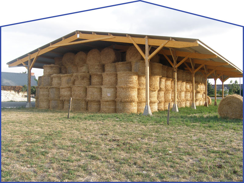 découvrez les avantages de la construction bois agricole, une solution durable et écologique pour vos infrastructures. alliant performance et esthétisme, le bois offre une réponse adaptée aux exigences modernes de l'agriculture.