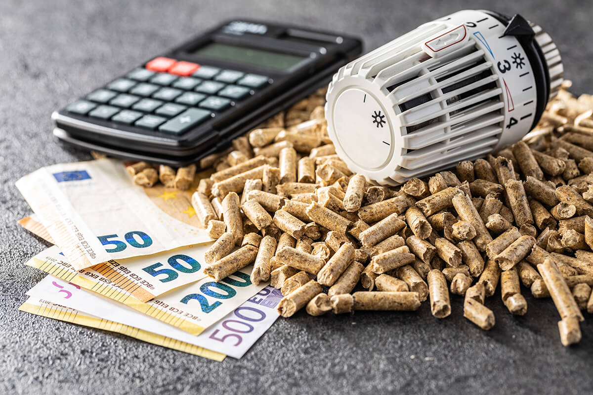 découvrez tout ce qu'il faut savoir sur le crédit d'impôt pour l'installation de poêles à bois en 2025. profitez d'une aide financière pour réduire vos dépenses énergétiques tout en respectant l'environnement. informez-vous sur les conditions d'éligibilité et les démarches à suivre pour bénéficier de cette incitation fiscale.