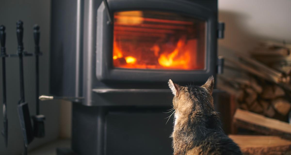 découvrez tout ce que vous devez savoir sur le crédit d'impôt pour l'installation de poêles à bois en 2025. profitez de réductions fiscales avantageuses pour contribuer à la transition énergétique tout en améliorant votre confort thermique.