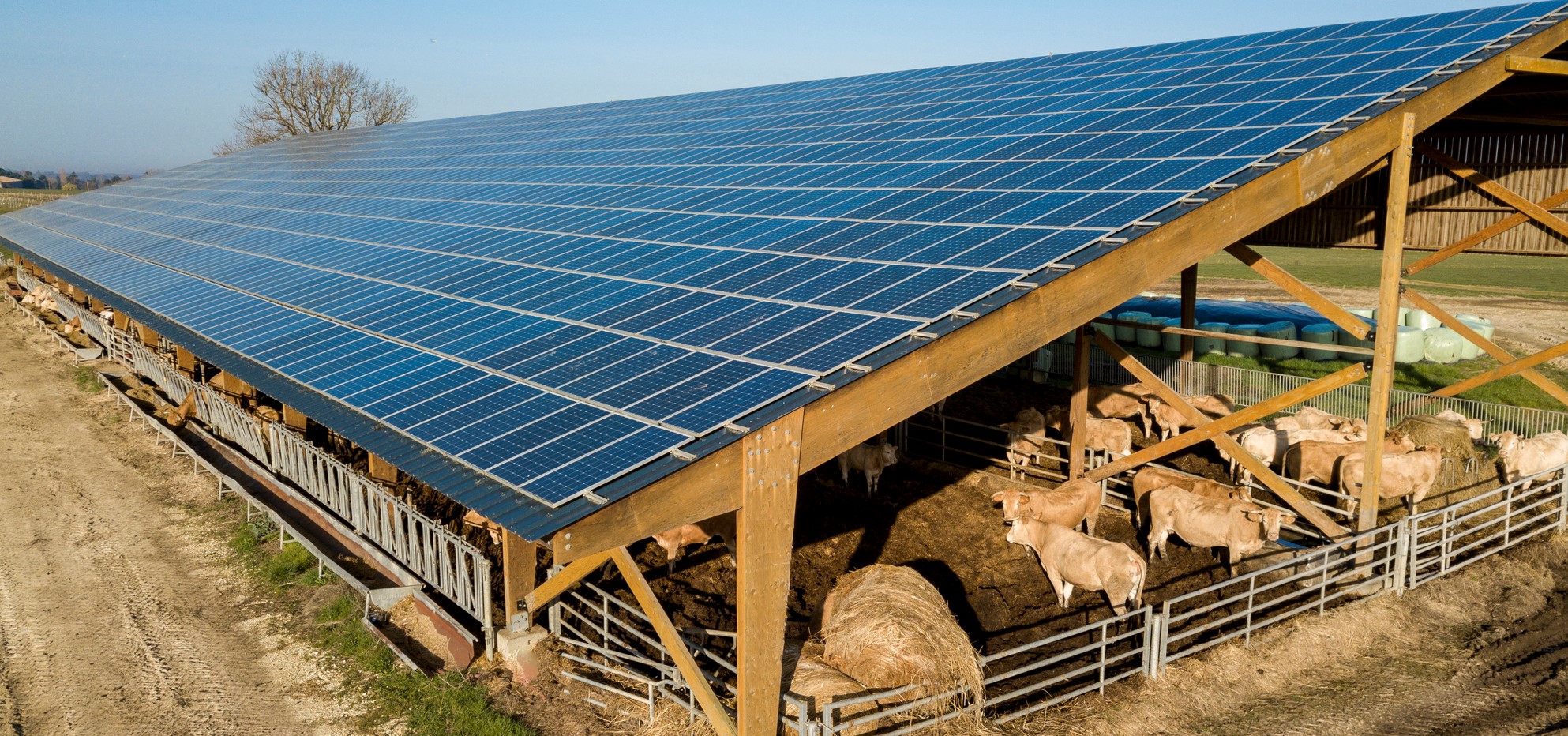 découvrez le crédit photovoltaïque, une solution financière avantageuse pour investir dans l'énergie solaire. bénéficiez d'aides et de taux préférentiels pour rendre votre projet d'installation de panneaux solaires accessible et rentable.