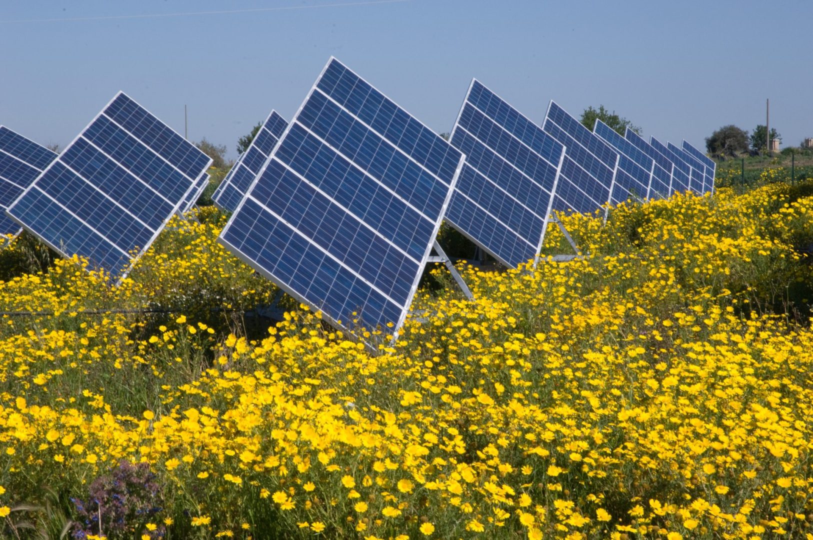 découvrez comment le crédit photovoltaïque peut vous aider à financer votre projet d'énergie solaire. profitez d'avantages fiscaux et d'une réduction de vos factures d'électricité grâce à des solutions adaptées à vos besoins.