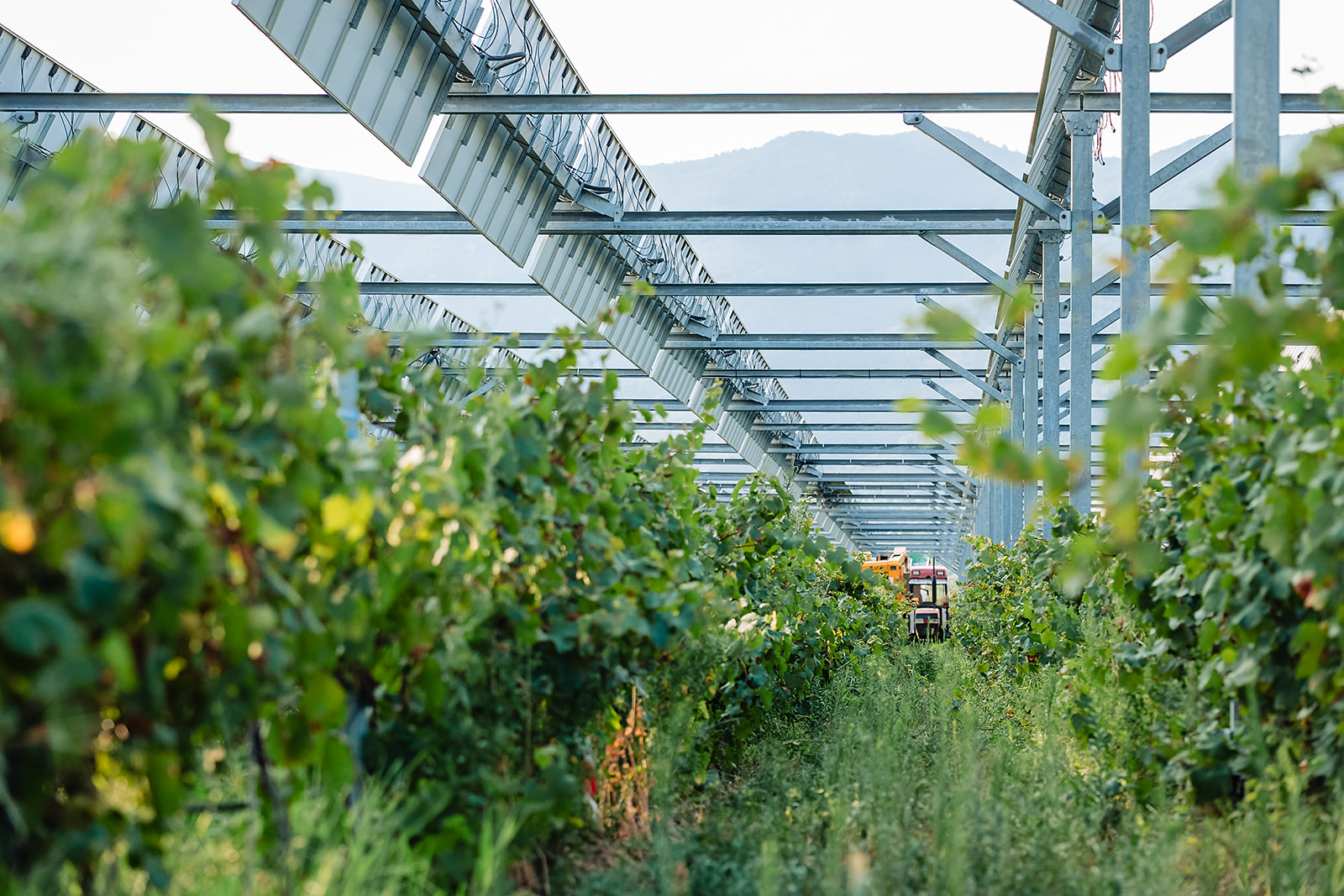 découvrez la définition de l'agrivoltaïsme, une pratique innovante alliant agriculture et énergie solaire. apprenez comment cette approche durable optimise l'utilisation des terres, favorise la biodiversité et contribue à la transition énergétique.