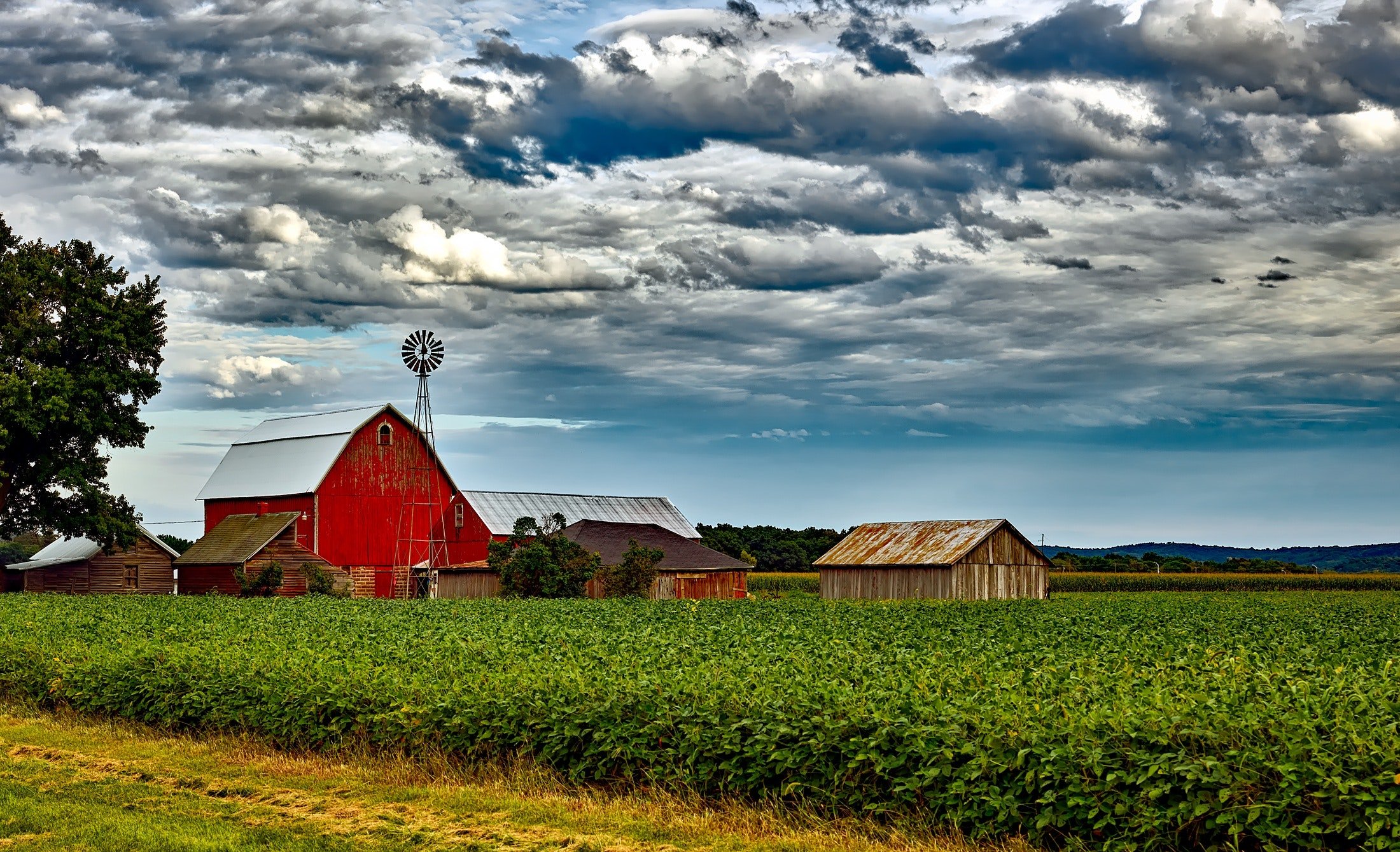 découvrez la définition complète du bâtiment agricole, un élément essentiel du monde rural, qui joue un rôle clé dans l'hébergement et la gestion des activités agricoles. apprenez-en plus sur ses caractéristiques, types et fonctions dans l'agriculture contemporaine.