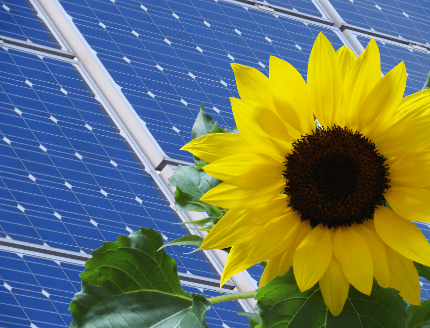 découvrez la durée de vie des panneaux solaires et les facteurs qui influencent leur performance. apprenez comment maximiser l'efficacité de votre installation solaire et comprendre quand envisager un remplacement.