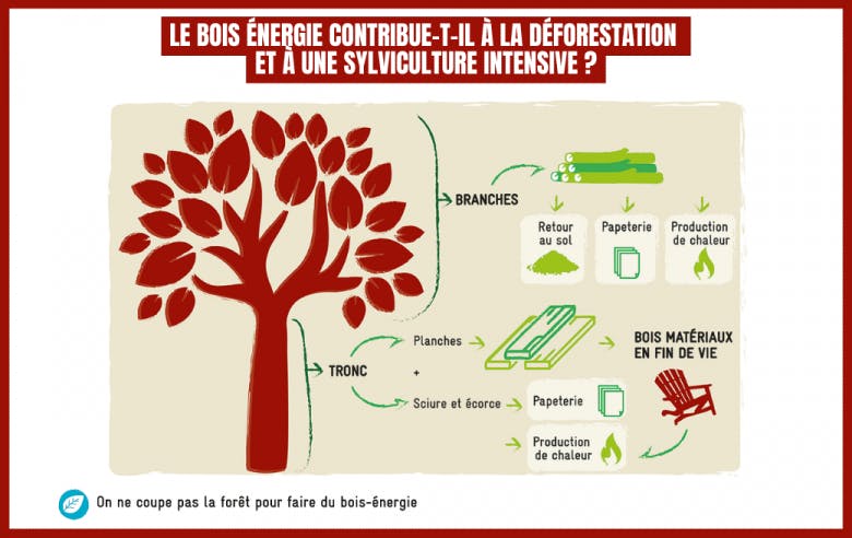 découvrez les avantages de l'énergie bois, une source renouvelable et écologique pour le chauffage et la production d'énergie. informez-vous sur les différentes méthodes d'utilisation du bois comme combustible, ses bénéfices environnementaux et son impact sur votre facture énergétique.