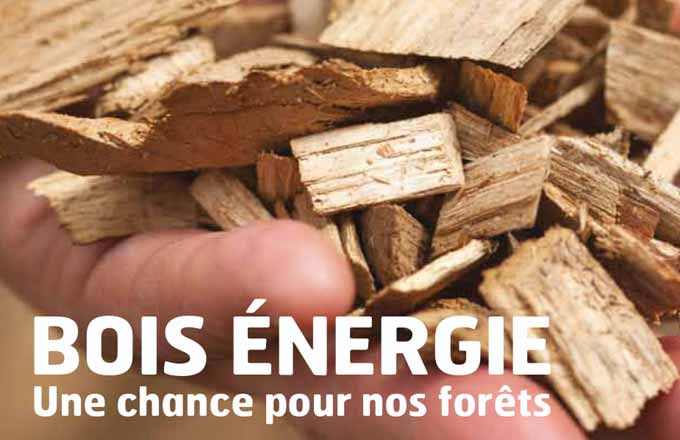 découvrez l'énergie bois, une source de chaleur renouvelable et écologique. apprenez comment utiliser le bois comme combustible pour le chauffage, ses avantages écologiques, son efficacité énergétique et les différentes solutions adaptées à vos besoins.