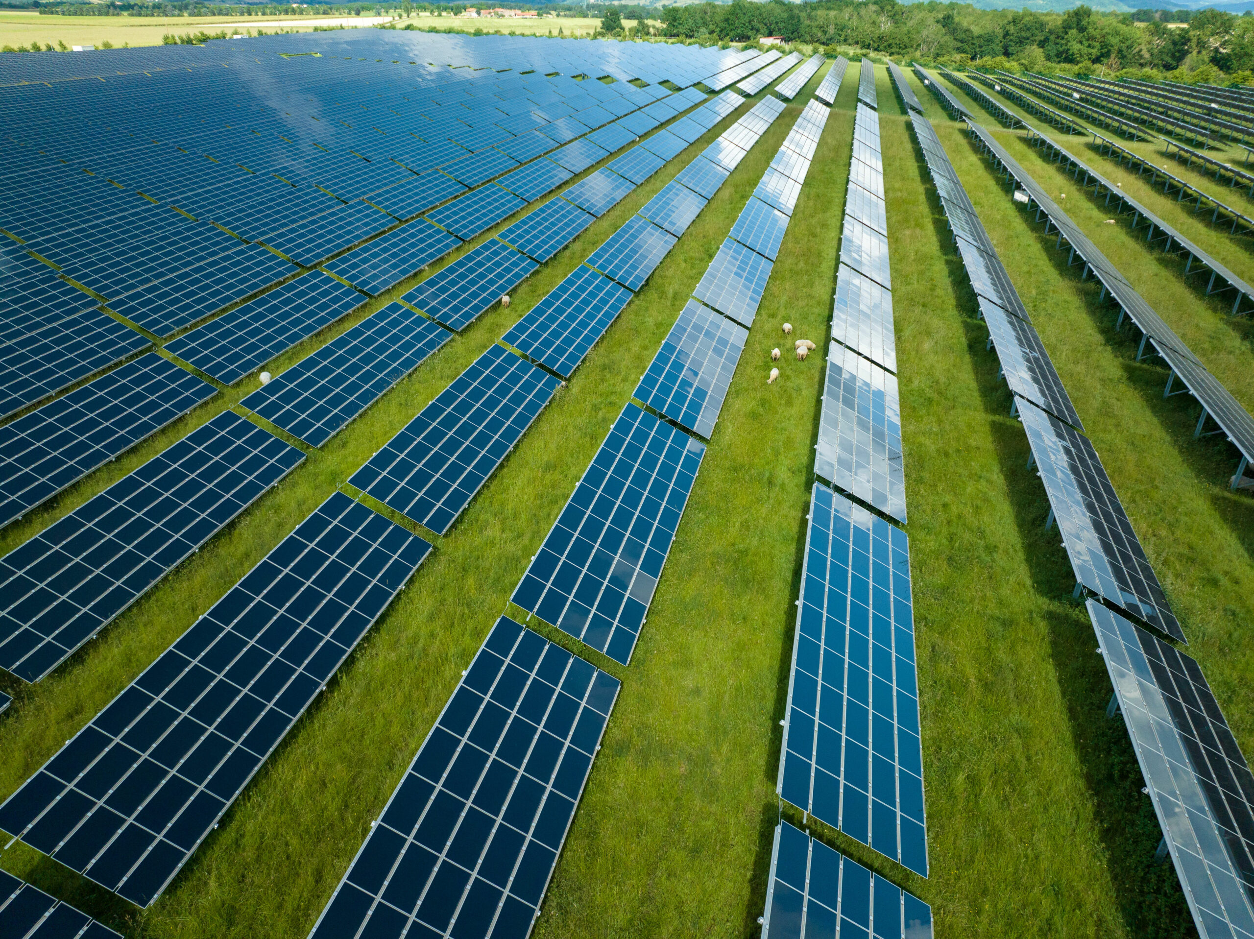 découvrez comment l'énergie solaire transforme notre utilisation de l'énergie et contribue à un avenir durable. explorez les avantages, les technologies et les solutions innovantes liées à cette ressource renouvelable incontournable.